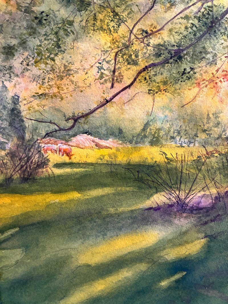 Watercolor of grazing cows in a grassy lane, warm midday light.