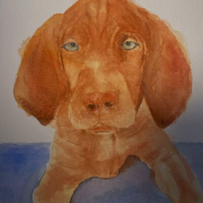 Watercolor portrait of a Vizsla puppy, warm tones and playful expression.