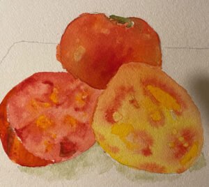 Still life watercolor of ripe tomatoes with warm reds and stems.